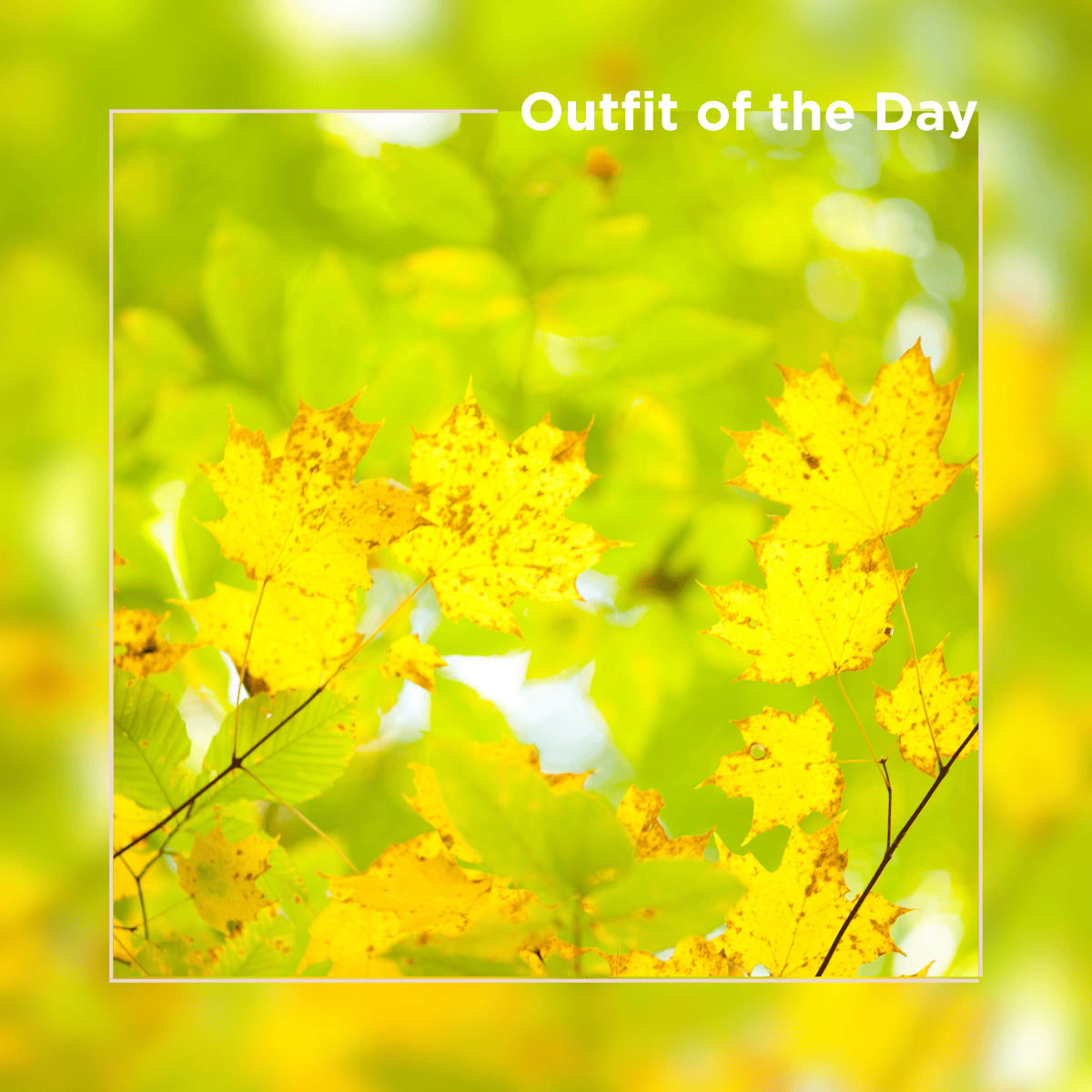 Outfit of the Day